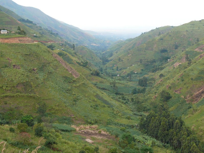 255 253 P1130159.jpg